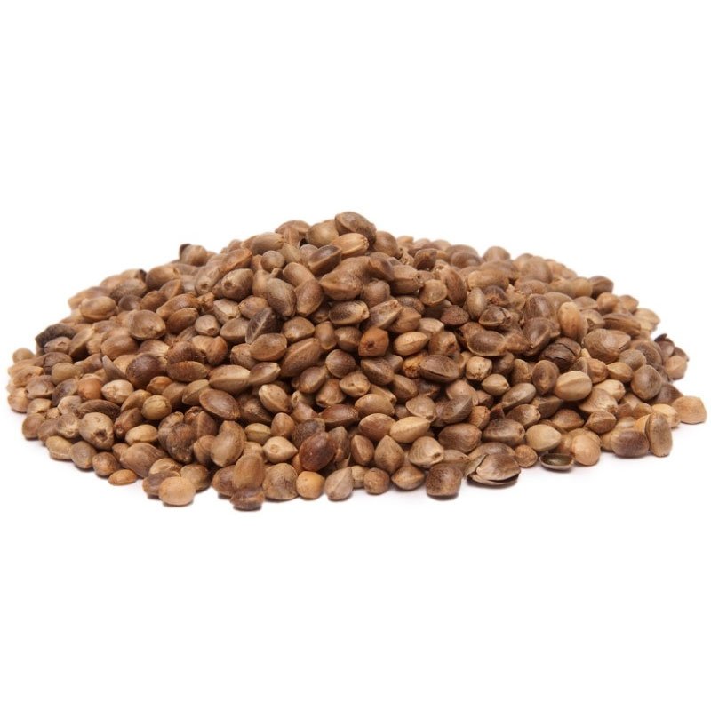 Hemp Plant Seeds for Sale Hemp Seeds for Growing for Sale